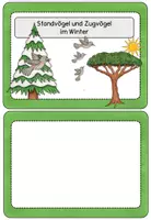 Vorschau - Unterrichtsreihen - Komplettpaket Vögel im Winter, Zug- und Standvögel #edukiknaller2021 - Seite 1