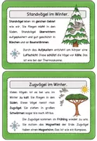 Vorschau - Unterrichtsreihen - Komplettpaket Vögel im Winter, Zug- und Standvögel #edukiknaller2021 - Seite 2