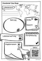 Vorschau - Arbeitsblätter - Steckbrief Okapi - Seite 1