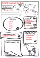 Vorschau - Arbeitsblätter - Steckbrief Okapi - Seite 2