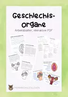 Vorschau - Arbeitsblätter - Geschlechtsorgane Arbeitsblätter inkl. interaktive PDF - Deckblatt