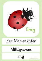 Vorschau - Präsentationen/Tafelbilder - Tafelmaterial Gewichte - Größen - - Seite 3
