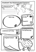 Vorschau - Arbeitsblätter - Steckbrief Wasserschwein/Capybara - Deckblatt