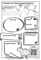 Vorschau - Arbeitsblätter - Steckbrief Wasserschwein/Capybara - Seite 1