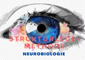 Vorschau - Poster - Strukturlegemethode Neurobiologie 🧠 👁 - Deckblatt