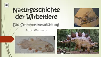 Vorschau - Arbeitsblätter - Naturgeschichte der Wirbeltiere - Seite 1