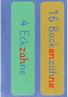 Vorschau - Unterrichtsreihen - Meine Zähne: Tafelmaterial passend zum Forscherheft - Seite 2