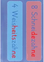Vorschau - Unterrichtsreihen - Meine Zähne: Tafelmaterial passend zum Forscherheft - Seite 3