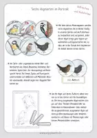 Vorschau - Arbeitsblätter - Vögel im Winter - Sechs Vogelarten im Portrait - Seite 2