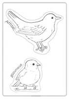 Vorschau - Mal- und Bastelvorlagen - Vögel im Winter - Ausmalbilder sechs heimischer Vogelarten - Seite 2