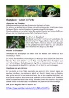 Vorschau - Arbeitsblätter - Chamäleon, Biologie, Text, Fragen, kreative Aufgabe - Seite 1
