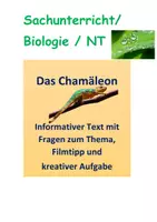 Vorschau - Arbeitsblätter - Chamäleon, Biologie, Text, Fragen, kreative Aufgabe - Deckblatt