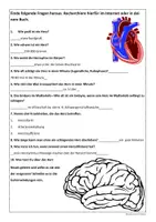 Vorschau - Arbeitsblätter - Biologie: Herz und sein Blutkreislauf (Humanbiologie) - Seite 3