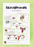 Vorschau - Präsentationen/Tafelbilder - Sexualkunde Infokarten - Deckblatt