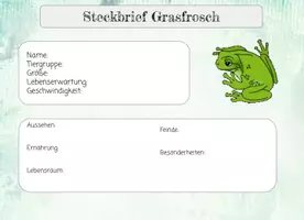 Vorschau - Arbeitsblätter - Froschkartei - Seite 1