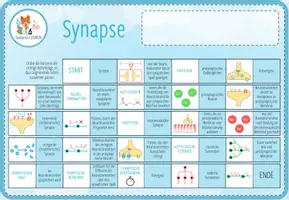 Vorschau - Spiele - Synapse – digitales Domino Spiel für Computer & iPad (Abitur) - Seite 1
