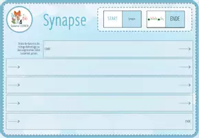 Vorschau - Spiele - Synapse – digitales Domino Spiel für Computer & iPad (Abitur) - Seite 2