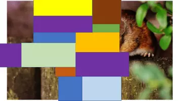 Vorschau - Spiele - Was ist das? Ratespiel Videokonferenz oder Smartboard - Seite 2