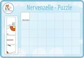 Vorschau - Spiele - Nervensystem - 7x digitale Spiele und Aktivitäten für Computer & iPad - Seite 3