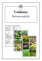 Vorschau - Merkblätter - Frühblüher: Bestimmungshilfen mit Fotos und Steckbrief - Deckblatt