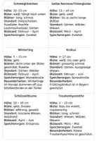 Vorschau - Merkblätter - Frühblüher: Bestimmungshilfen mit Fotos und Steckbrief - Seite 2