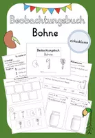 Vorschau - Arbeitsblätter - Beobachtungsbuch Bohne (Kopiervorlagen) #silvesterknaller25 - Deckblatt