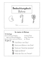 Vorschau - Arbeitsblätter - Beobachtungsbuch Bohne (Kopiervorlagen) #silvesterknaller25 - Seite 2