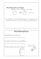Vorschau - Arbeitsblätter - Beobachtungsbuch Bohne (Kopiervorlagen) #silvesterknaller25 - Seite 3