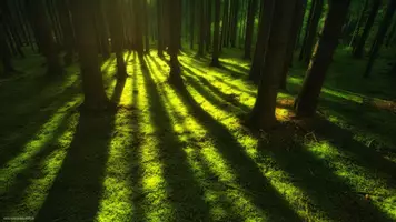 Vorschau - Unterrichtsreihen - Physik: Licht & Schatten (animierte Folien + Erklärvideo + Arbeitsblatt) - Seite 2