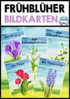 Vorschau - Bildkarten - Frühblüher Bildkarten - Deckblatt