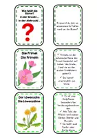 Vorschau - Unterrichtsreihen - Der Frühling BUNDLE - Sparpaket: Interaktive PowerPoint & Heft, Kreativ-Workshop, Bildkarten + Flashcards | Homeschooling | Distanzunterricht - Seite 3