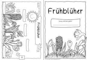 Vorschau - Arbeitsblätter - Begleitheft Frühblüher - Seite 3