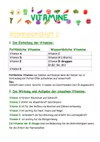 Vorschau - Stundenentwürfe - Vitamine & Mineralstoffe - Eine komplette Lernreise in zwei Versionen - Seite 3