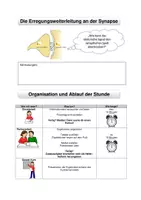 Vorschau - Stundenentwürfe - Lernaufgabe: Entwicklung eines dynamischen Modells zur Funktionsweise der Synapse. - Seite 1