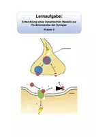 Vorschau - Stundenentwürfe - Lernaufgabe: Entwicklung eines dynamischen Modells zur Funktionsweise der Synapse. - Deckblatt