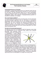 Vorschau - Stundenentwürfe - Lernaufgabe: Entwicklung eines dynamischen Modells zur Funktionsweise der Synapse. - Seite 3