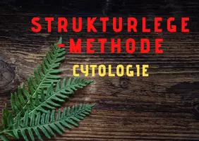 Vorschau - Bildkarten - Cytologie Strukturlegemethode - Deckblatt