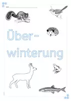 Vorschau - Arbeitsblätter - Überwinterung - Arbeitsblätter für Freiarbeit - Seite 1