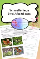 Vorschau - Arbeitsblätter - Schmetterlinge - zwei Arbeitsbögen - Deckblatt