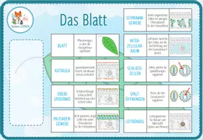 Vorschau - Spiele - Struktur und Aufbau des Blattes – digitales Zuordnungsspiel für Computer & iPad - Seite 1