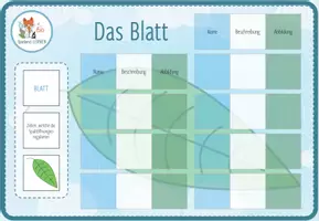 Vorschau - Spiele - Struktur und Aufbau des Blattes – digitales Zuordnungsspiel für Computer & iPad - Seite 2