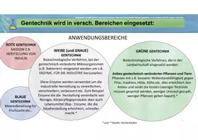 Vorschau - Stundenentwürfe - Gentechnik in unseren Lebensmitteln - AES / Ernährung / Hauswirtschaft / Prüfung AES Realschule - Seite 2
