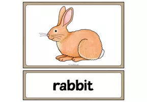 Vorschau - Bildkarten - Flashcards - "pets" - Seite 3
