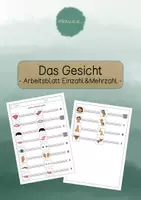 Vorschau - Arbeitsblätter - Arbeitsblatt Einzahl/Mehrzahl Gesicht (DaZ) - Deckblatt