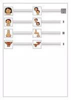 Vorschau - Arbeitsblätter - Arbeitsblatt Einzahl/Mehrzahl Gesicht (DaZ) - Seite 3