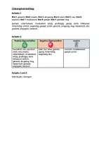 Vorschau - Arbeitsblätter - Vorbilder - Seite 3