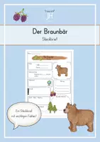 Vorschau - Arbeitsblätter - Steckbrief zum Braunbär - Deckblatt
