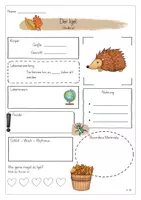 Vorschau - Arbeitsblätter - Steckbrief zum Igel - Seite 2