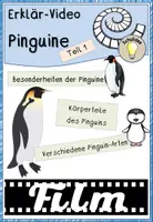 Vorschau - Videos - Video Erklär-Video Pinguine Teil 1 - Deckblatt