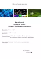 Vorschau - Stundenentwürfe - Phosphate im Knochen - Protolyse & Salzbildung der Phosphorsäure - Deckblatt